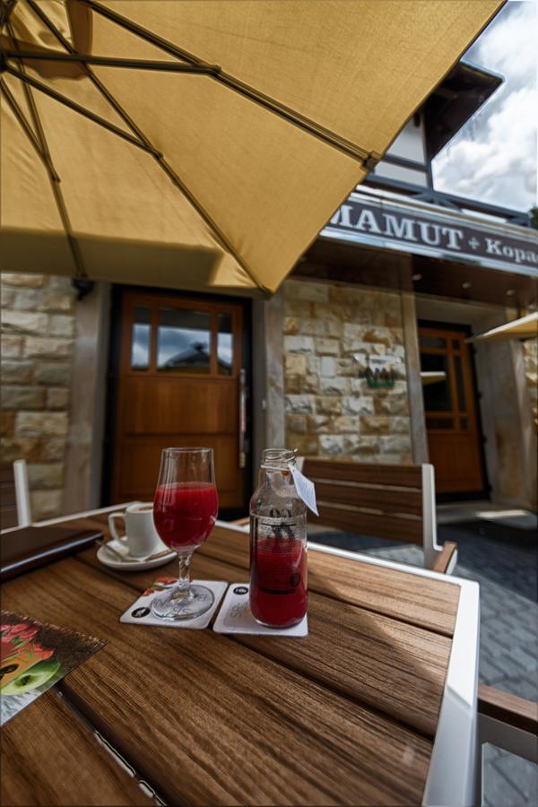 Apart Hotel Mamut Kopaonik Exterior foto